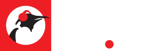 Pinguin Radio shop